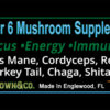 Super Six Mushroom Powder - Image 3