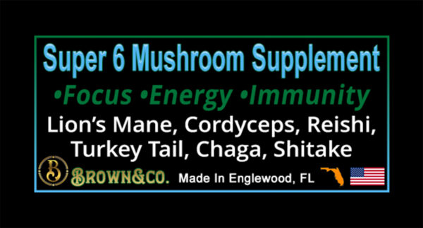 Super Six Mushroom Powder - Image 3