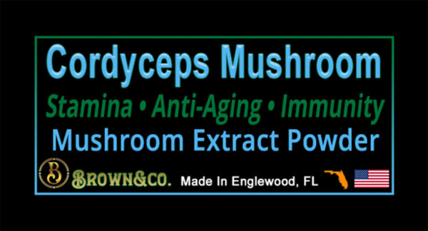 Cordyceps Mushroom Extract Powder - Image 3