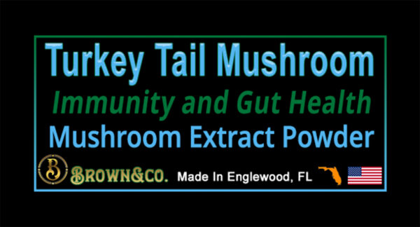 Turkey Tail Mushroom Extract Powder - Image 3