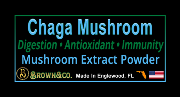 Chaga Mushroom Powder - Image 2