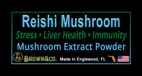 Reishi Mushroom Extract Powder - Image 3